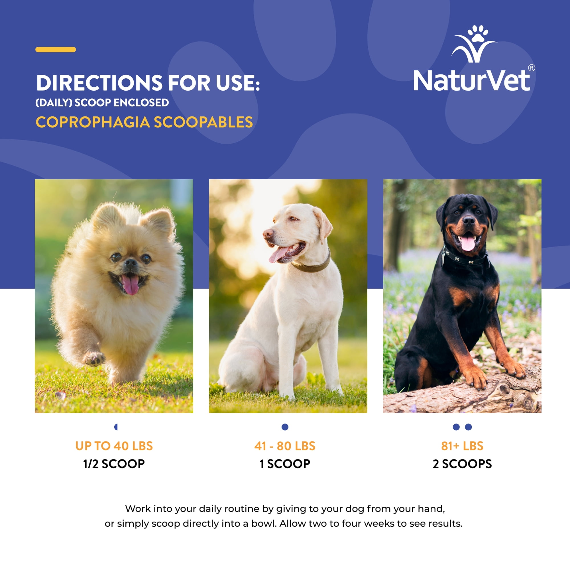 NaturVet Stool Eating Deterrent Stool & Bowel Supplement for Dogs, Hickory Smoked Bacon Flavor, 45 Scoopable Tiny Bites