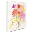 thumbnail image 3 of Trademark Fine Art "Bouquet Impressions" Canvas Art by Sheila Golden, 3 of 4