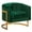 Green, variant on Meridian Furniture Carter Green Velvet Accent Chair with Stainless Steel Base