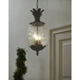 thumbnail image 2 of 7516BC Acclaim Lighting Lanai - Three Light Outdoor Hanging Lantern - 10 Inches Wide by 21 Inches High-Black Coral Finish, 2 of 9