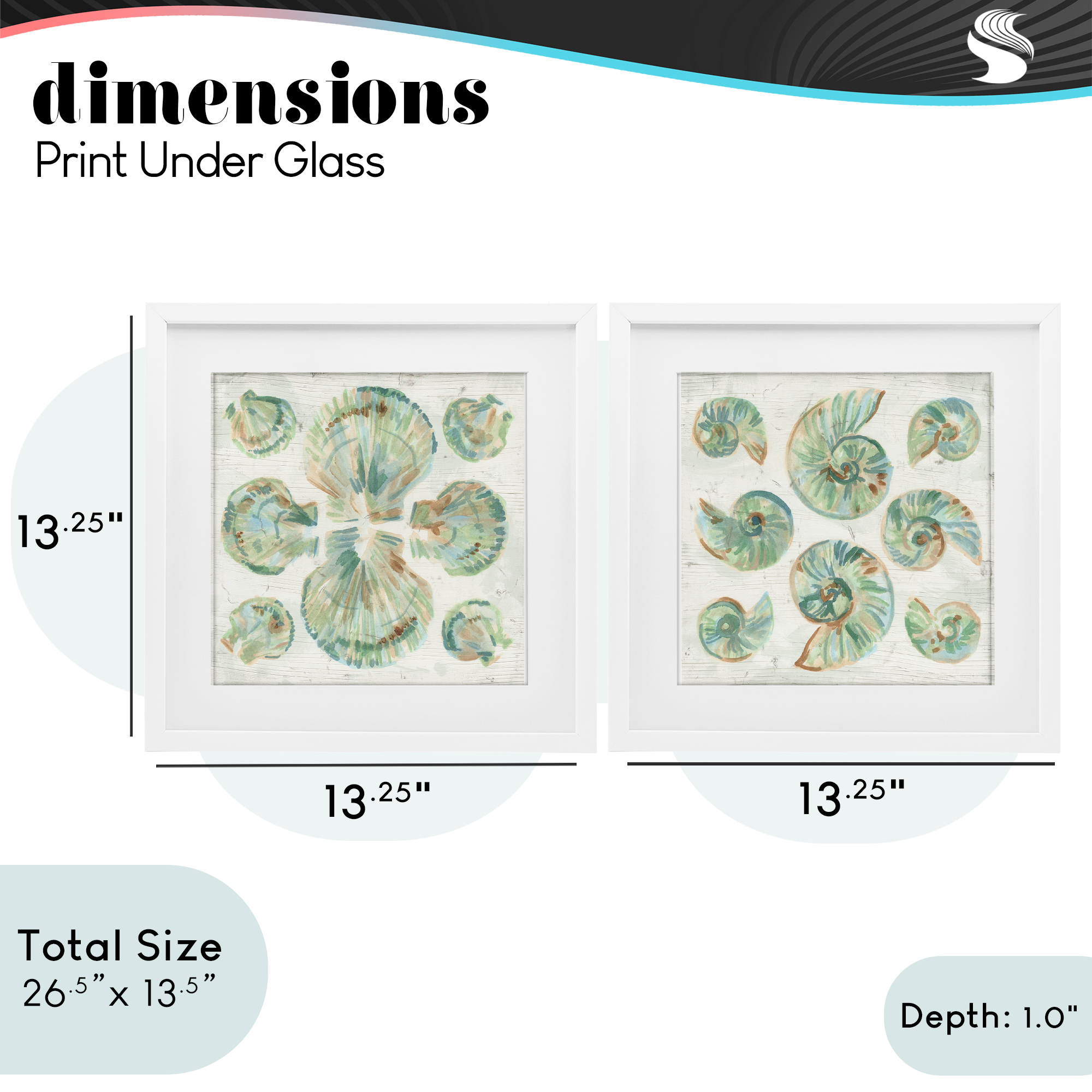 Stupell Industries Saltwashed Seashells Pattern 2 Piece White Framed Print Under Glass Set, design by June Erica Vess