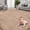 Beige-5' x 7' (Rectangular), variant on Fluffy 5x7 Area Rugs For Living Room Bedroom: Ultra Soft Shag Rug Non-slip Non-shedding Small Plush Bedside Indoor Floor Carpets Playroom Entryway Dorms Home Decor Beige