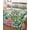 Brown, variant on Twin Quilt Bedding Set, Summer Botanical Reversible Summer Quilt 3 Pieces, Tropical Cactus Succulents Gray Plaid Lightweight Bedspreads Coverlets with 2 Pillow Shams for All Seasons