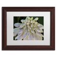 thumbnail image 3 of Trademark Fine Art "Hosta Flower Abstract" Canvas Art by Kurt Shaffer White Matte, Black Frame, 3 of 4