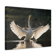 thumbnail image 2 of Funny Whooper Silly Whooper Scene Outside Wall Art Ready to Hang Unframed, 2 of 18