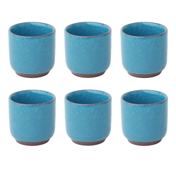 Naiovety 6 piezas de cerámica hielo grieta Mini maceta Cactus planta bonsái macetas oficina hogar jardín balcón adornos Jardín y Patio Azul claro Naiovety HA084460-05