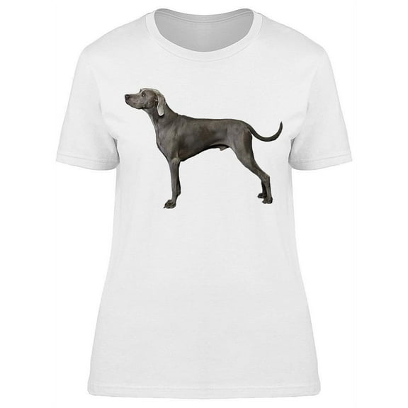 Weimaraner: Standing Sideways T-Shirt Women -Image by Shutterstock, Female x-Large