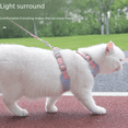 thumbnail image 4 of Correa para gatos anti-roturas, correa para el pecho para gatos, cuerda para caminar para gatos, correa ajustable para mascotas, 4 of 5