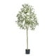 thumbnail image 1 of VEVOR Olivo artificial, planta sintetica de 5 pies de alto, material de PE seguro y protección antiinclinación, planta de bajo mantenimiento, 1 of 9