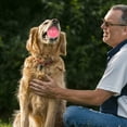 thumbnail image 3 of Durable TPR Squeaky Interactive Dog Toy for Aggressive Chewing Teeth Cleaning and Floating Water Play Activities, 3 of 4