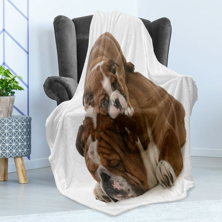 English bulldog best sale blanket