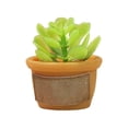 thumbnail image 2 of Casa de Plantas en Macetas CUTICAT 1/12 Bonsai Greenery Fairy Garden Set Adorno de Escritorio C Estilo, 2 of 7