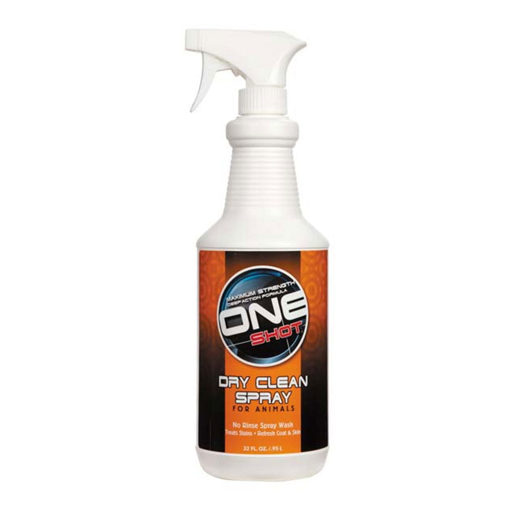 Best Shot One Shot Dry Clean Spray 32oz - Walmart.com