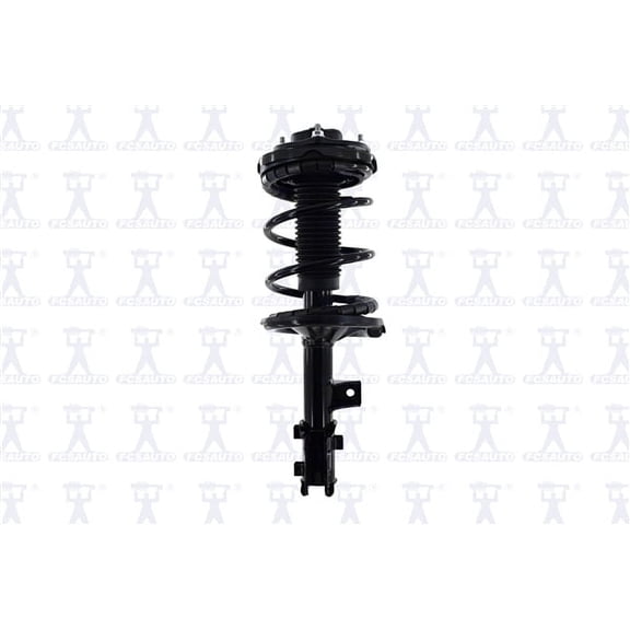 Suspension Strut and Coil Spring Assembly