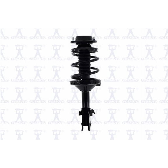 Suspension Strut and Coil Spring Assembly