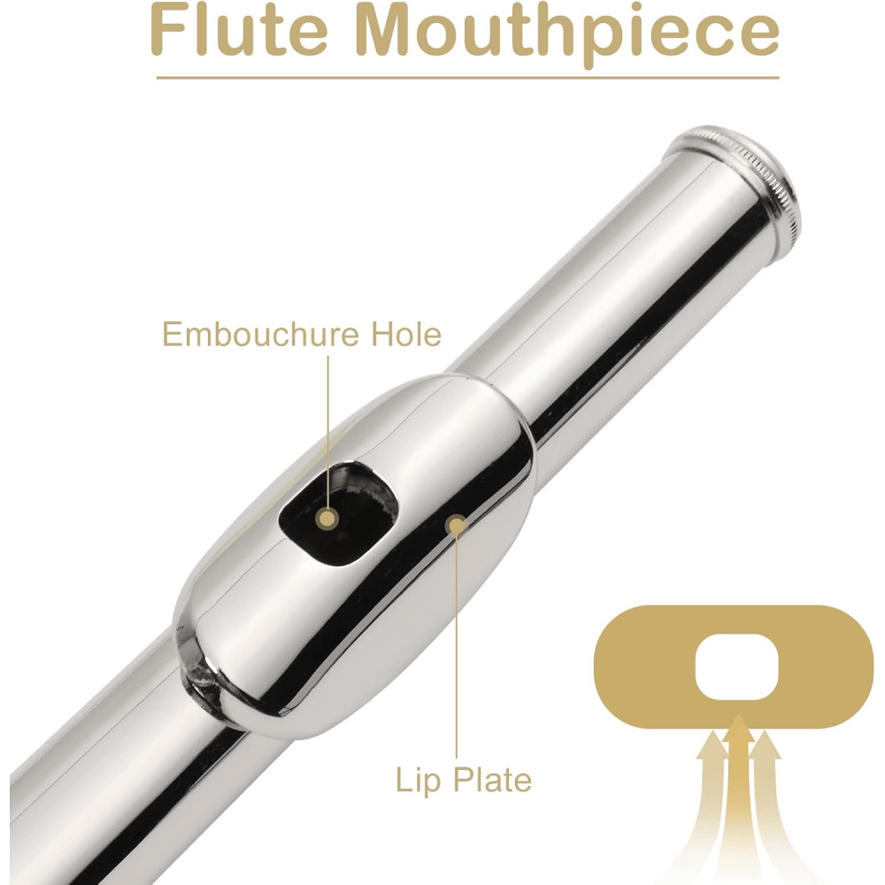Tcbosik 16 Keys C Closed Hole Flute with E Key, Instrument for Beginner with Carrying Case, Cloth, Lubricant, Screwdriver and Cleaning Rod, Silver