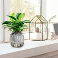 thumbnail image 6 of NSESSHome Self Watering Plant Pots, Clear Self Watering Planter with Deep Reservoir, Plastic Flower Pots for All House Plants, Flowers, 6 of 7
