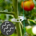 thumbnail image 2 of 100pcs Tomato and Veggie Garden Plant Support Clips For Trellis house Twine M2G3, 2 of 9