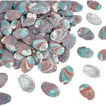 Approx.110pcs Natural Green Abalone Seashell 2 Inch Ocean Beach Sea Shells Small Craft Shell Ornament with Hole for DIY Craft Summer Party Table Wind Chime Costume Decoration 500g