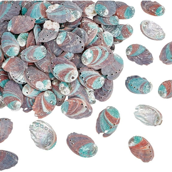 Approx.110pcs Natural Green Abalone Seashell 2 Inch Ocean Beach Sea Shells Small Craft Shell Ornament with Hole for DIY Craft Summer Party Table Wind Chime Costume Decoration 500g