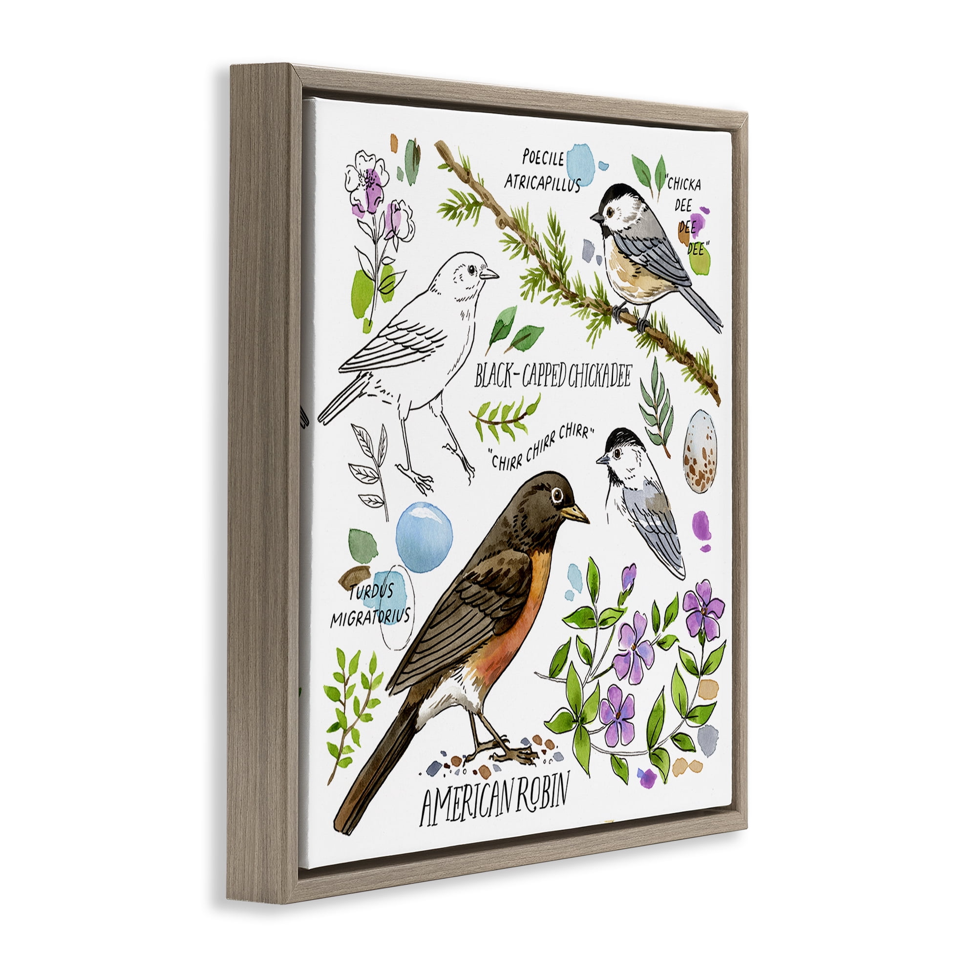 Stupell Industries Local Bird Watching Animals Painting Brown Floater Framed Canvas Art Print Wall Art, 18 x 18