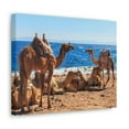 thumbnail image 2 of Camel Couple Camel Troop Print Animal Wall Art Wildlife Canvas Prints Wall Art Ready to Han Unframed, 2 of 18