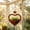 B, variant on GallickanMetal Heart Shaped Hanging Flower Pot, Galvanized Iron Wall Planter with Chain, Rustic Bucket for Garden Patio Indoor Outdoor