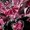 Pink Black Gray, variant on jejeloiu Pink Sequin Print Black Out Curtains,3D Diamond Butterflies Curtains Pack of 2 (42x63 Each),Leopard Print Bowtie Bedroom Curtains For Girls,Ultra Soft Home Decor