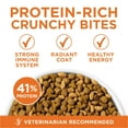 thumbnail image 4 of Purina ONE High Protein Ideal Weight Dry Cat Food With Turkey, Weight Control Formula, 3.5 lb Bag, 4 of 11
