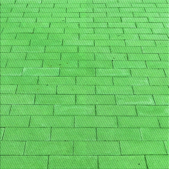 Ahgly Company Indoor Square Patterned Neon Green Area Rugs, 4' Square