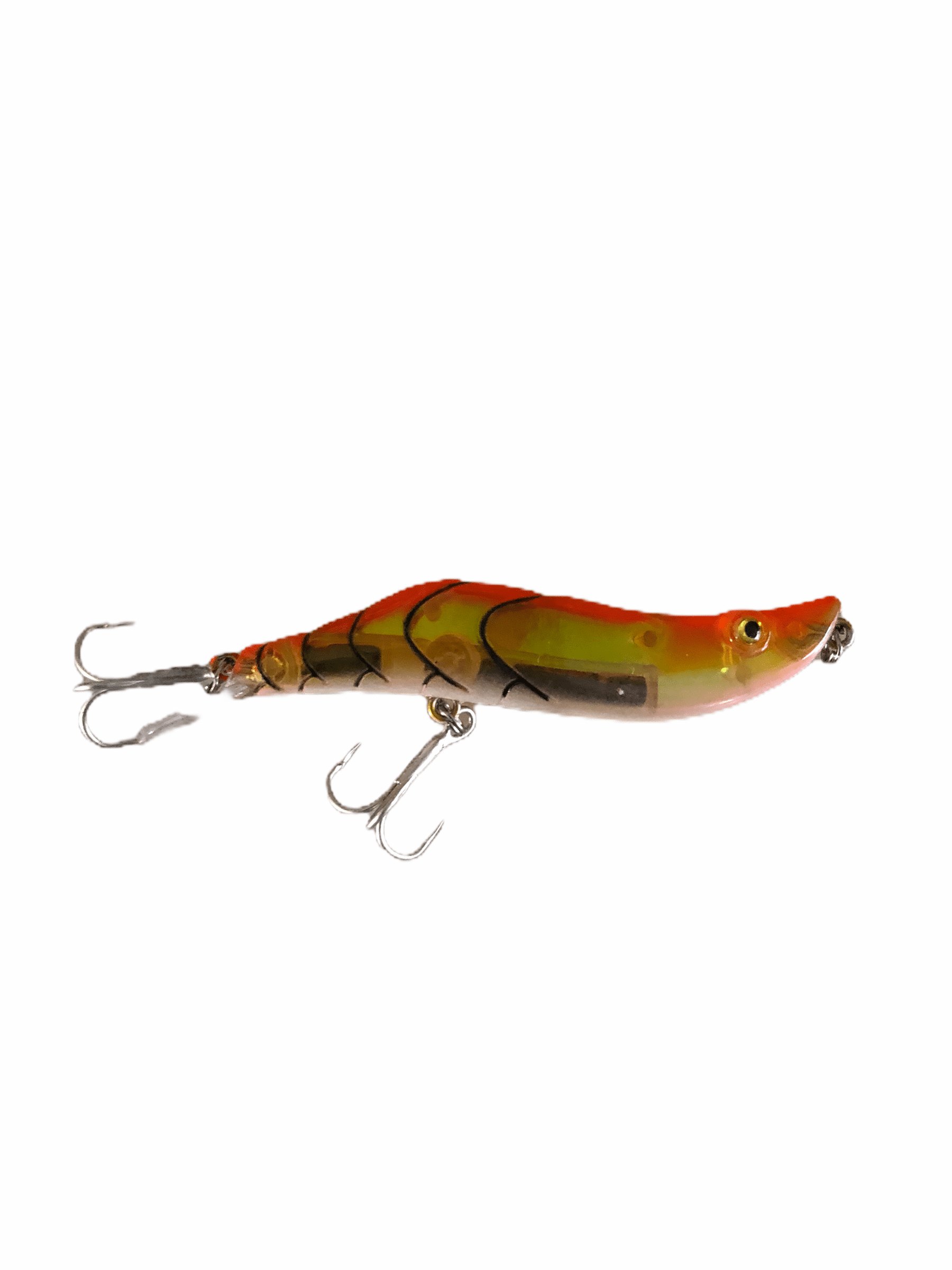 cyber monday saltwater fish