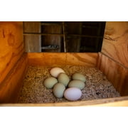 New Country Organics | Chicken Feed 50lb | Corn-Free Classic Layer Chicken Feed for Laying Hens | Corn-Free and Soy-Free | 17% Protein | Certified Organic and Non-GMO Chicken Food | 50lbs Bag