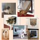 thumbnail image 4 of Puerta abatible para perros y gatos con cerradura de seguridad de 4 vías Puerta abatible para perros, gatos, gatitos, plástico ABS, puerta para mascotas pequeñas, kit de puertas abatibles para perros y gatos - Marrón M 20X19X5.5cm Kuyhfg Bienvenido a Kuyhfg, 4 of 5