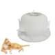 thumbnail image 3 of Cuenco de alimentación para mascotas pequeños Jinwen Tazón de leche blanco, 3 of 8