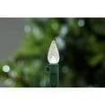 Holiday Time Christmas Lights LED BatteryOperated Warm White C3 String