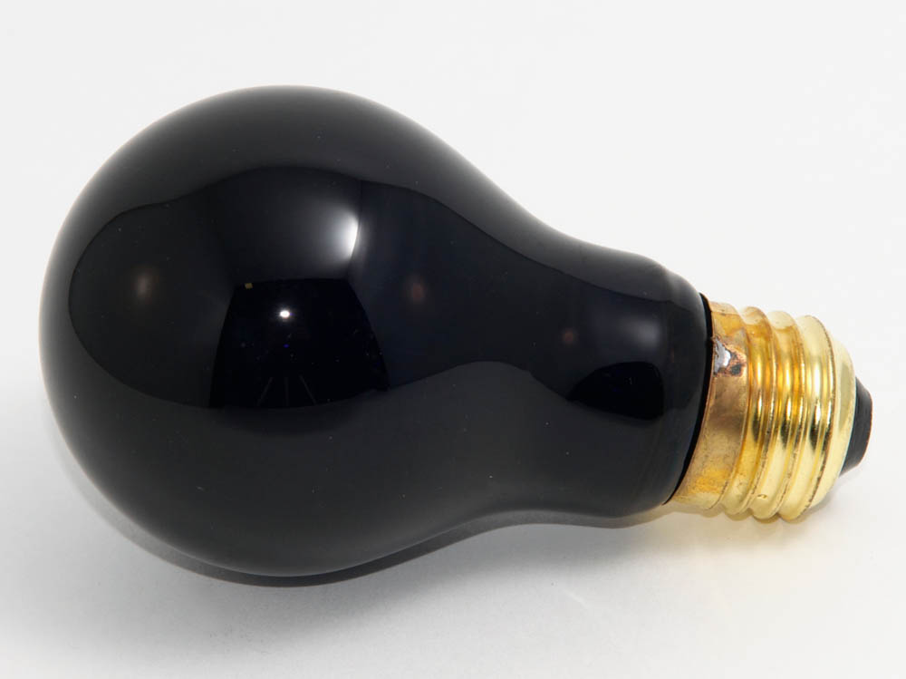 Bulbrite 75W Standard Black Light Incandescent Light Bulb - image 2 of 4