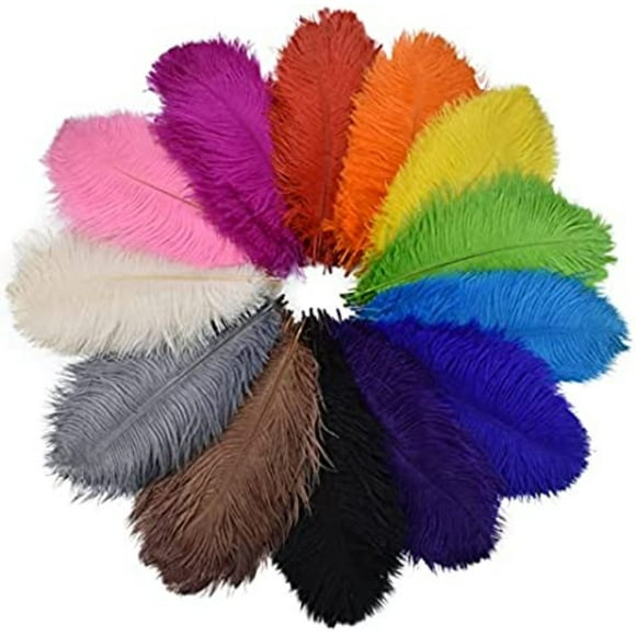 CNKOO Pack of 10 Colored Ostrich Feathers for Crafts Wedding Decoration Craft Accessories Table Decoration Carnival Decoration