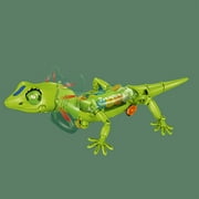 Byujiro Electric Lizard Toy with Music & Light Transparent Gear Reptile Model that Crawls, Interactive Kids Learning Development Toy