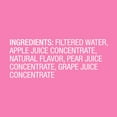 JuiceBlox Aphmau Fruit Punch Juice, 100 Fruit Juice, 6.75 fl oz, 8