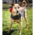 thumbnail image 6 of Helios Lotus-Rusher Waterproof 2-in-1 Convertible Dog Jacket w/ Blackshark technology, 6 of 8