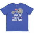 thumbnail image 3 of Inktastic Best Gram Ever Grandchild Gift Youth T-Shirt, 3 of 5