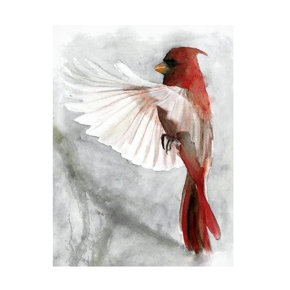 Stellar Design Studio 'Cardinals II' Canvas Art