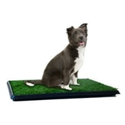 Angle View: Puppy Potty Trainer 20" x 25" - The Indoor Restroom for Pets