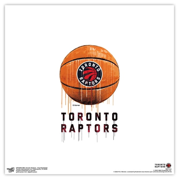 Gallery Pops NBA Toronto Raptors - Drip Basketball Wall Art, Unframed Version, 12" x 12"