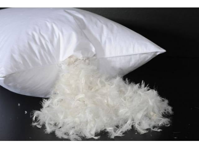 BeautySleep 2 Pack Feather Cotton Pillow Set
