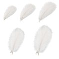 thumbnail image 4 of Ostrich Feathers Decoration Soft Comfortable Touch 35x10x1cm White Ostrich Feathers For Party Home, 4 of 5