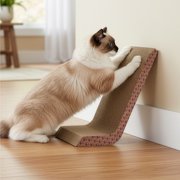 Scratch Ramp (cat head pattern)
