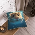 thumbnail image 5 of KLL Cute Swimming Guinea Pig Decorative Throw Pillow Covers Velvet Soft for Couch Sofa Bedroom Living Room Outdoor (No pillow core)- 18"x18", 5 of 5