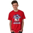 thumbnail image 3 of Tootsie Owl USA Tastes Like Freedom Men's Graphic T Shirt Tees Brisco Brands L, 3 of 6