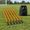 Orange-6, variant on Blue 6 Adjustable Agility Poles, 5ft Height for Sports and Animal Agility Drills
